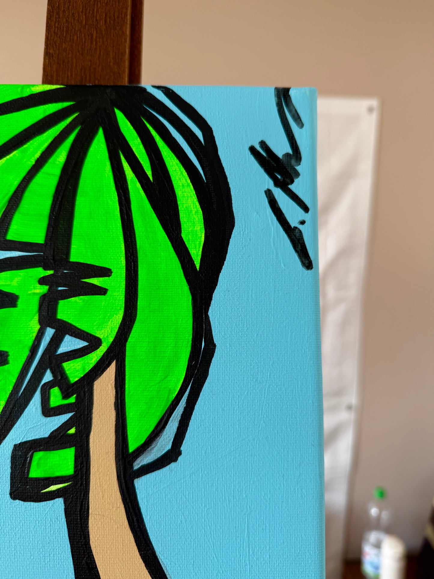 Palmeras de Isla de Margarita, Venezuela