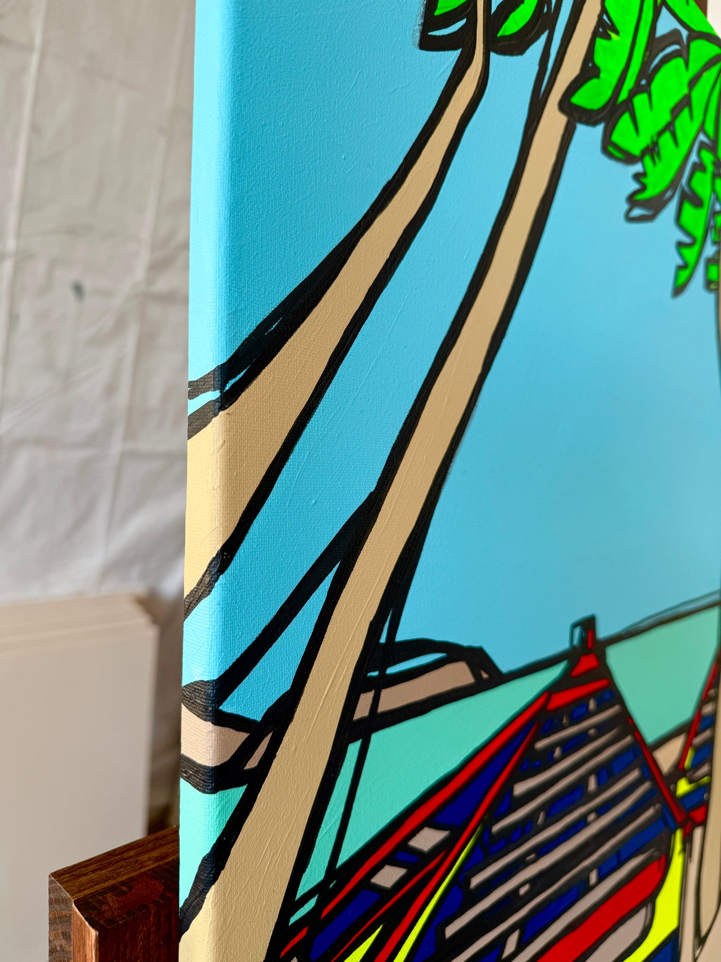 Palmeras de Isla de Margarita, Venezuela