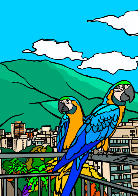 "The Parrots of Caracas, Venezuela"